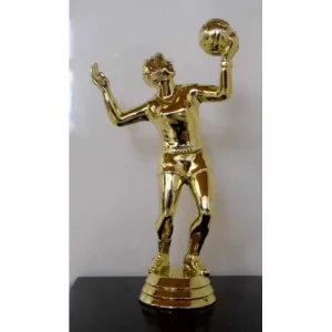 Volleyball Player (F)