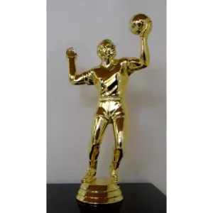 Volleyball Player (M)